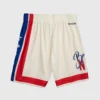 B/R SHOP Basketball Joey Bada$$ X Brooklyn Nets Swingman Shorts